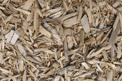 biomass boilers Revesby